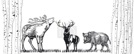 Illustration for Deer and wild boar on the meadow illustration - Royalty Free Image