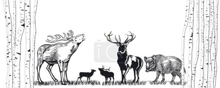 Illustration for Deer and wild boar on the meadow illustration - Royalty Free Image