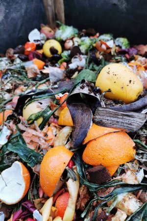 Foto de Textura de compost de los residuos domésticos como fondo ecológico - Imagen libre de derechos