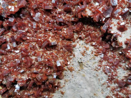 Photo for Vanadinite mineral texture as very nice background - Royalty Free Image