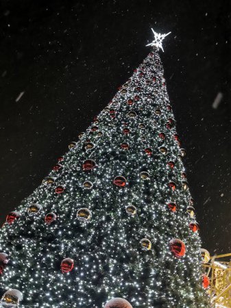 Photo for Christmas tree in krakow in the dark night - Royalty Free Image