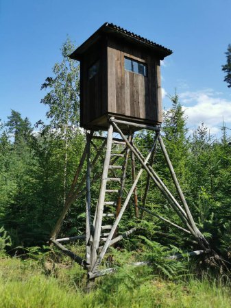 wooden high seat in the czech forest