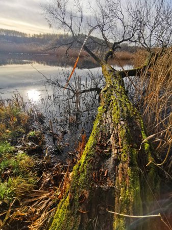 lake near Vidnava with nice nature, czech republic