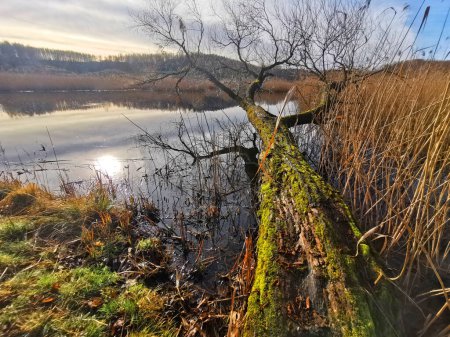 lago cerca de Vidnava con buena naturaleza, República Checa