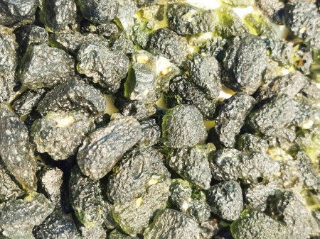 Photo for Moldavite (tektite) mineral collection as very nice background - Royalty Free Image