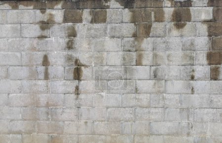 vieux mur humide comme texture très facile