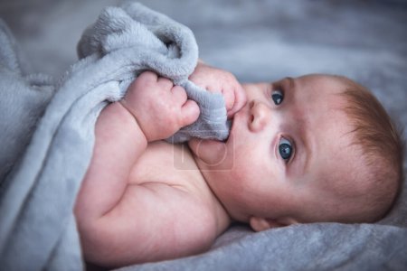 Téléchargez les photos : Portrait de bébé mignon avec de grands yeux bleus mâchant un plaid tout en étant couché sur le lit - en image libre de droit