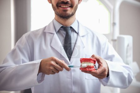 Foto de Hermoso joven dentista con abrigo blanco sostiene una mandíbula, mostrando cómo cepillarse los dientes y sonreír mientras está de pie en su oficina - Imagen libre de derechos