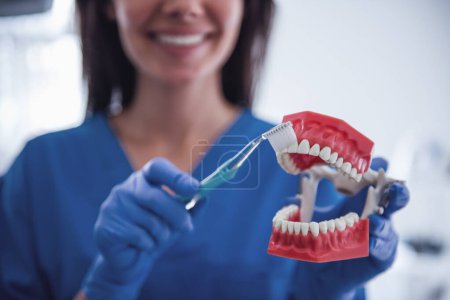 Téléchargez les photos : Belle jeune dentiste féminine tient une mâchoire, montrant comment se brosser les dents et sourire tout en se tenant debout dans son bureau - en image libre de droit