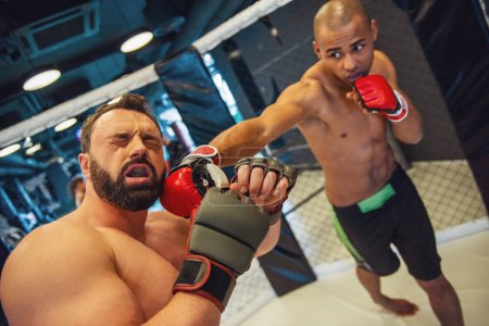 Foto de Dos hombres en guantes de boxeo y pantalones cortos están luchando en jaula - Imagen libre de derechos