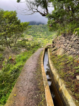 Foto de Madeira. Maravilloso sendero a lo largo de la levada en la isla de Madeira, Portugal. Madeira, Portugal - Imagen libre de derechos