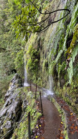 Foto de Cascada en la levada de Caldeirao Verde, isla de Madeira, Portugal - Imagen libre de derechos