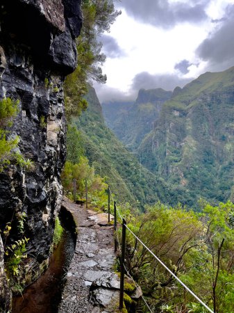 Foto de Sendero en la levada de Caldeirao Verde, isla de Madeira, Portugal - Imagen libre de derechos