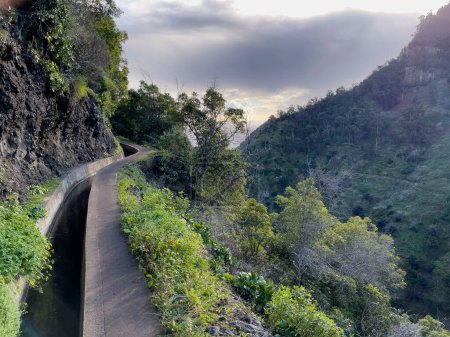 Foto de Maravilloso sendero a lo largo de la levada en la isla de Madeira, Portugal - Imagen libre de derechos
