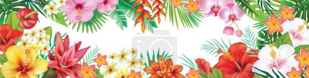 Téléchargez les illustrations : Cadre de plantes tropicales et de fleurs et feuilles exotiques - en licence libre de droit