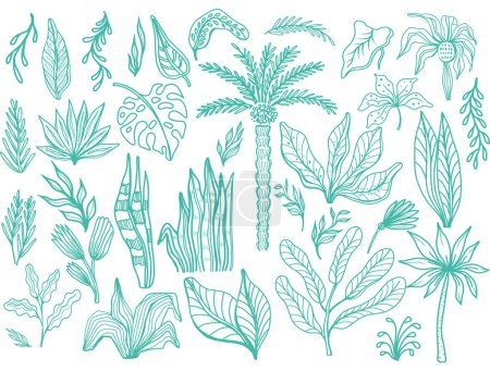 Ilustración de Conjunto de hojas tropicales dibujadas a mano en estilo garabato - Imagen libre de derechos