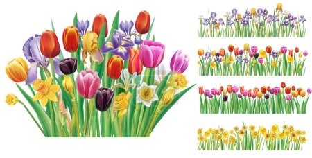 Foto de Conjunto de ramo y pancartas con flores de primavera, ilustración vectorial botánica de primavera sobre fondo blanco - Imagen libre de derechos