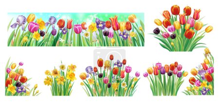 Téléchargez les photos : Ensemble de bouquets et bannières avec fleurs printanières, Illustration vectorielle botanique printanière sur fond blanc - en image libre de droit