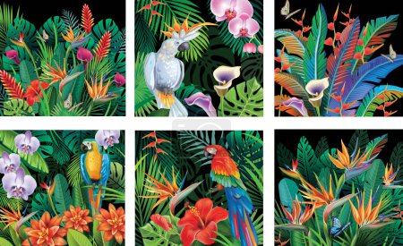 Téléchargez les illustrations : Ensemble de milieux avec des plantes de la jungle tropicale sur fond noir - en licence libre de droit