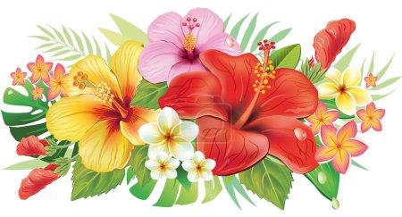 Illustration for Arrangement from hibiscus flowers and leaf - Royalty Free Image