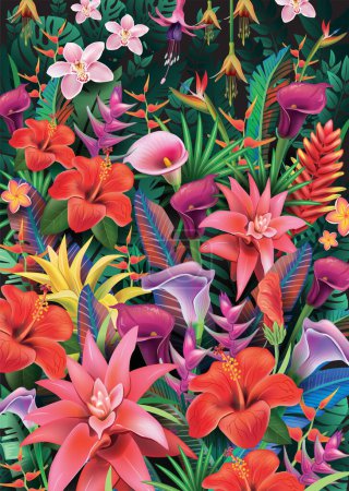 Téléchargez les photos : Fond de plantes tropicales et fleurs exotiques, illustration vectorielle - en image libre de droit