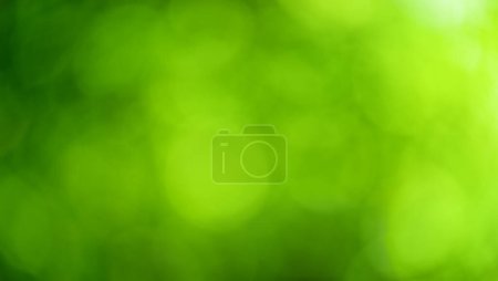 Téléchargez les photos : Abstract blurred leaves of tree in nature forest with sunny and bokeh light. - en image libre de droit