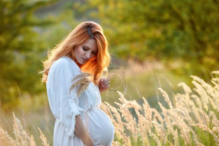 Foto de Hermosa mujer embarazada en vestido de algodón blanco en el prado de verano en una puesta de sol. Concepto de embarazo, maternidad, expectativa de parto. - Imagen libre de derechos