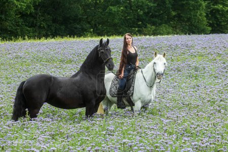Photo for A beautiful woman on a white horse with a black frieze in a field of purple flowers - Royalty Free Image