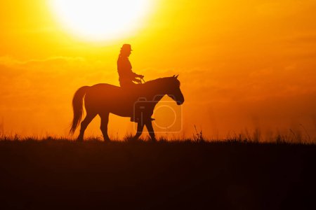 Téléchargez les photos : Silhouette d'une femme chevauchant un cheval - en image libre de droit