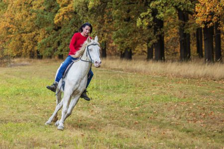 Photo for Young woman and a white horse going around the forest - Royalty Free Image