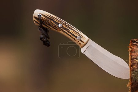Téléchargez les photos : Couteau type nessmuk avec manche en bois coincé dans un arbre - en image libre de droit