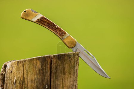 Photo for Folding knife with antler handle is at the stake - Royalty Free Image