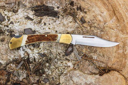 Photo for Folding knife with antler handle laid on a wooden sponge - Royalty Free Image