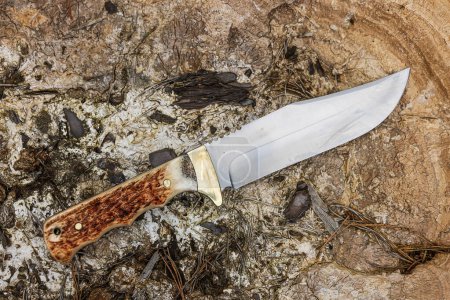 Foto de Un cuchillo bowie con una cornamenta colocada en una esponja de madera - Imagen libre de derechos