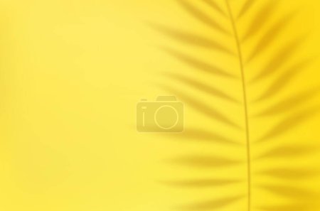 Ilustración de 3d estudio de luz vacía fondo abstracto con efecto foco y sombra de hojas de palma tropical. concepto para su diseño gráfico cartel bandera y telón de fondo. renderizado 3d. Ilustración vectorial - Imagen libre de derechos