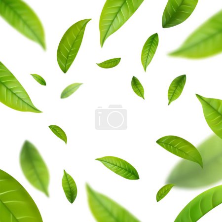 Ilustración de Hojas de té verde realista en movimiento sobre un fondo blanco. Fondo con hojas verdes voladoras de primavera. Ilustración vectorial - Imagen libre de derechos