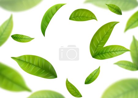 Téléchargez les illustrations : Feuilles de thé vert réalistes en mouvement sur un fond blanc. Fond avec des feuilles de printemps vertes volantes. Illustration vectorielle - en licence libre de droit