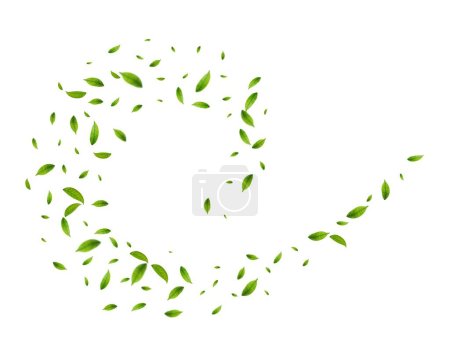 Ilustración de Hojas de té verde realista en movimiento sobre un fondo blanco. Fondo con hojas verdes voladoras de primavera. Diseño orgánico, ecológico, vegano. Ilustración vectorial - Imagen libre de derechos
