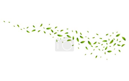 Téléchargez les illustrations : Feuilles de thé vert réalistes en mouvement sur un fond blanc. Fond avec des feuilles de printemps vertes volantes. Design bio, éco, végétalien. Illustration vectorielle - en licence libre de droit