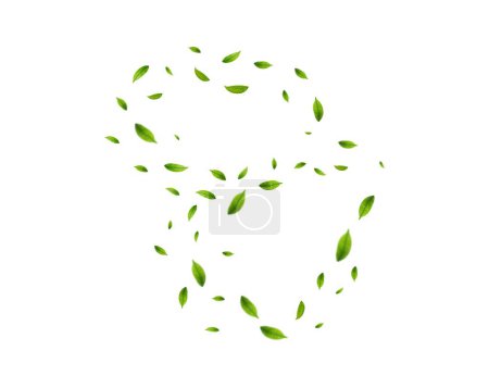 Téléchargez les illustrations : Feuilles de thé vert réalistes en mouvement sur un fond blanc. Fond avec des feuilles de printemps vertes volantes. Design bio, éco, végétalien. Illustration vectorielle - en licence libre de droit