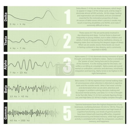 Set of brain waves oscillation green colors