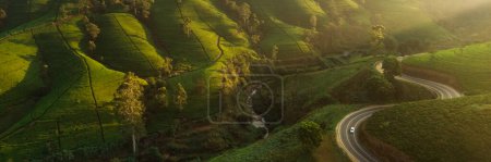 Téléchargez les photos : Vue aérienne par drone de la route des paysages à travers les collines verdoyantes des montagnes et les plantations de thé. Photo de haute qualité. Champs de thé vert pour fond ou bannière - en image libre de droit
