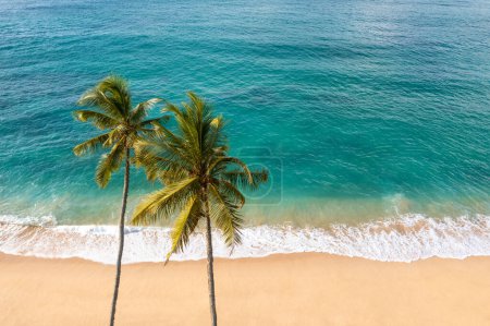 Téléchargez les photos : Drone aérien vue sur une belle plage tropicale intacte avec deux palmiers et de l'eau claire. Rivage parfait avec sable et cocotiers. Voyage et tourisme incroyable paysage de plage - en image libre de droit