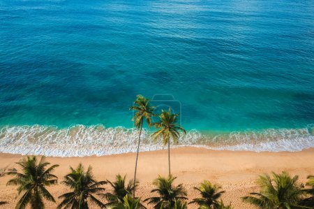 Téléchargez les photos : Vue aérienne sur drone belle plage tropicale intacte avec des palmiers et de l'eau claire. Rivage parfait avec sable et cocotiers. Voyage et tourisme incroyable paysage de plage - en image libre de droit