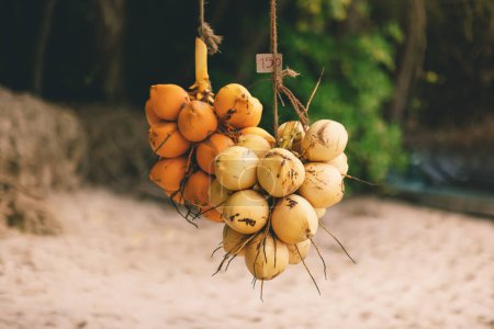 Téléchargez les photos : Bunch de noix de coco roi frais à vendre aux touristes sur la plage. Concentration sélective. Photo de haute qualité - en image libre de droit