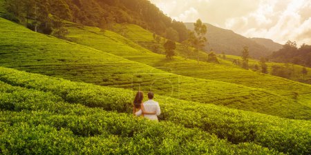 Téléchargez les photos : Vue aérienne sur drone au-dessus des plantations de thé parmi les montagnes avec un couple romantique de voyageurs. Un jeune homme et une jeune femme debout contre un paysage épique pendant un voyage au Sri Lanka - en image libre de droit