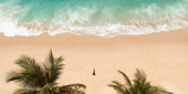 Aerial drone view beautiful tropical beach with pink sand palm trees and clear water and woman model in black bikini. Perfect shore with sand and coco palms. Travel and resort leisure panorama Poster #662579978
