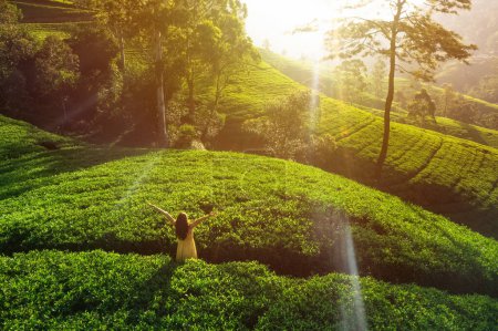 Téléchargez les photos : Vue aérienne de la femme en robe verte, les bras levés, admirant les plantations de thé au Sri Lanka - en image libre de droit
