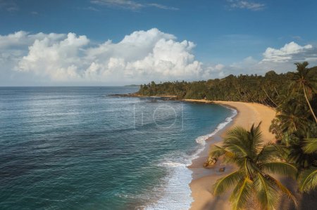 Foto de Hermoso complejo de playa de arena con palmeras y surf de mar con olas. Silent Beach, Sri Lanka. Foto de alta calidad - Imagen libre de derechos