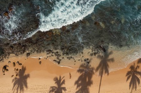 Foto de Top aerial view of young sensual brunette beach woman in black bikini and sunglasses lying on the sand near rocks and palm trees in the water at sea and enjoys summertime. Dreams holidays and weekend - Imagen libre de derechos